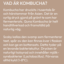 Ladda upp bild till gallerivisning, Kombucha (24 st)