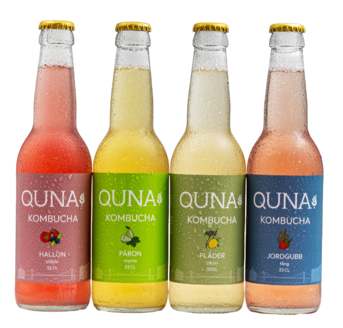 Kombucha (12 st)