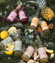 Ladda upp bild till gallerivisning, Kombucha (12 st)
